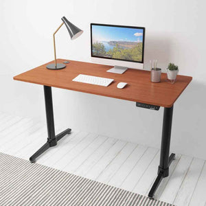 Eureka Ergonomic 48" Wide Electric Adjustable Height Standing Desk-Electric Standing Desks-Eureka Ergonomic-Cherry-Ergo Standing Desks