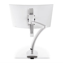 Load image into Gallery viewer, Innovative Ella Next Generation Articulating Single Monitor Arm Mount-Monitor Arms-Innovative-Ergo Standing Desks