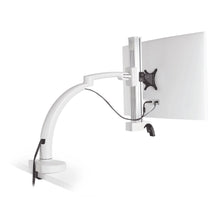 Load image into Gallery viewer, Innovative Ella Next Generation Articulating Single Monitor Arm Mount-Monitor Arms-Innovative-Ergo Standing Desks